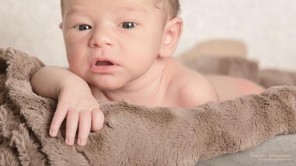 PHOTOGRAPHE CHAMBERY VANGARDIS  - photographe chambery bebe naissance grossesse taylor 004